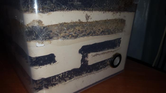 2016-11-21 21-06-32.JPG